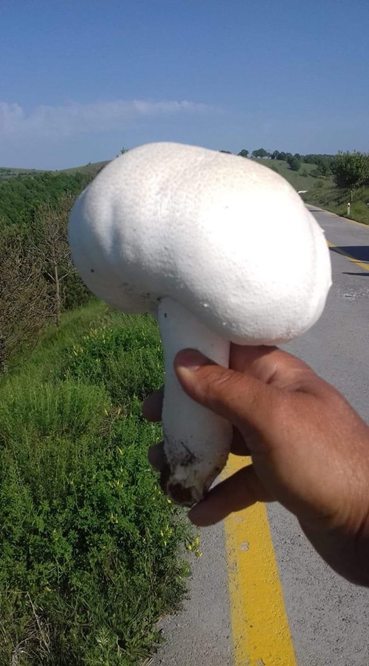 Kavak Azaklı Köyü Resimleri 10