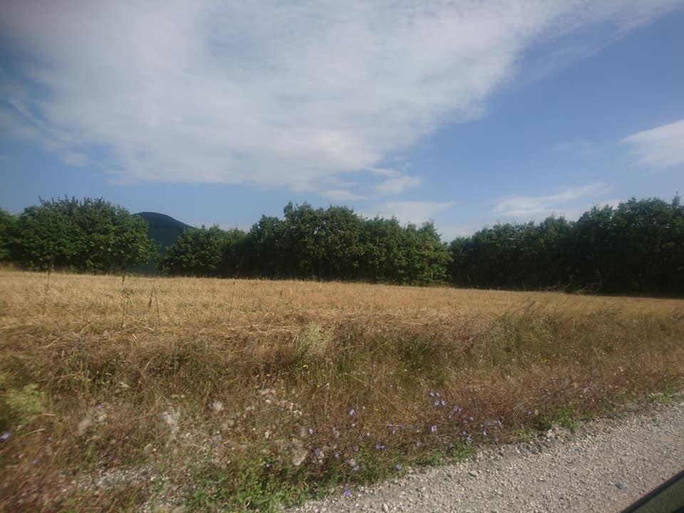 Kavak Başalan Köyü Resimleri 11