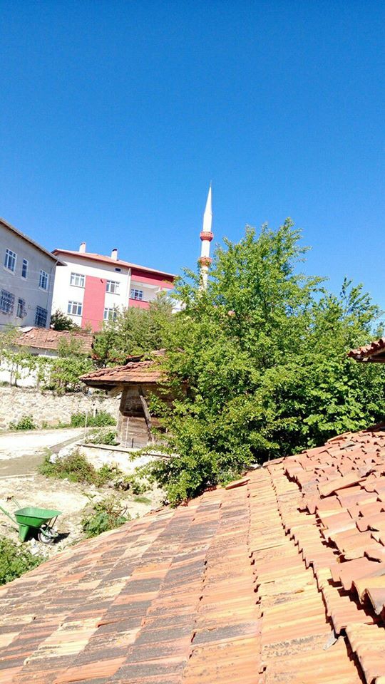 Kavak Başalan Köyü Resimleri 8