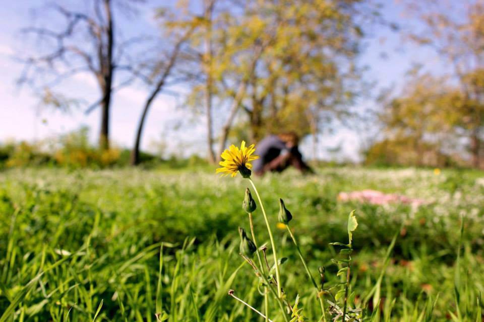 Kavak Bayındır Köyü Resimleri 4