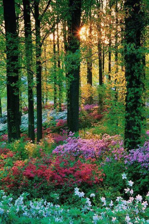 Kavak Bayındır Köyü Resimleri 5