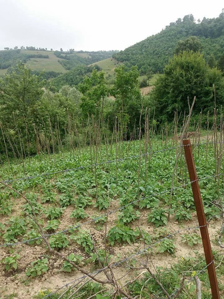 Kavak Belalan Köyü Resimleri 10