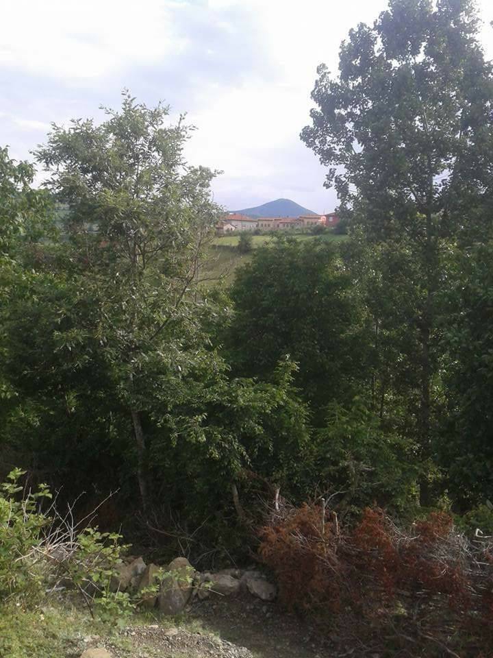 Kavak Belalan Köyü Resimleri 4