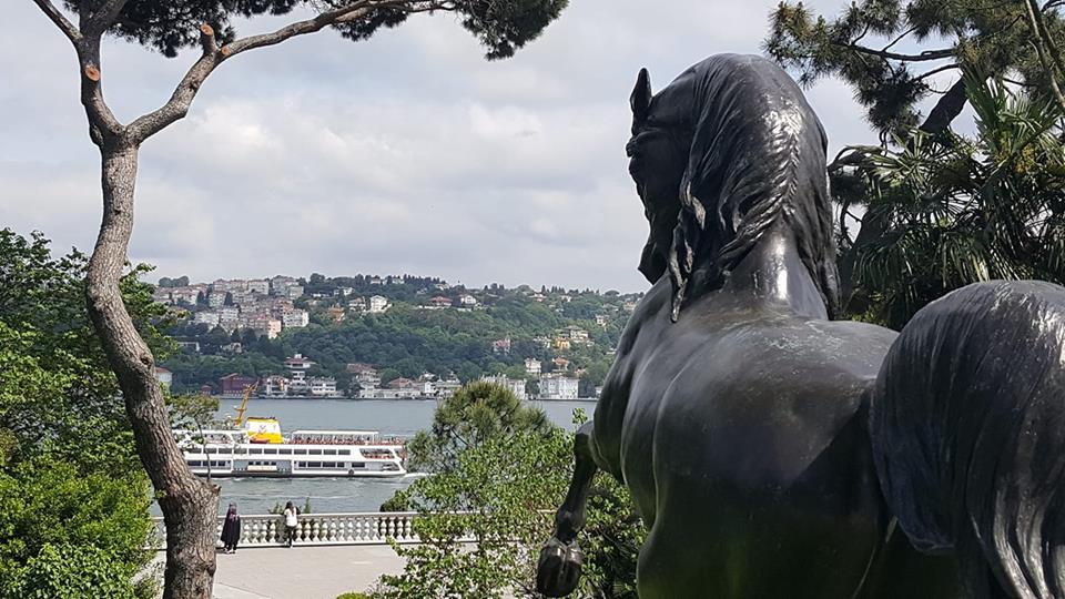 Kavak Boğaziçi Köyü Resimleri 4