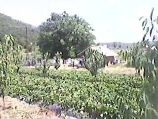 Kavak Boğaziçi Köyü Resimleri 7