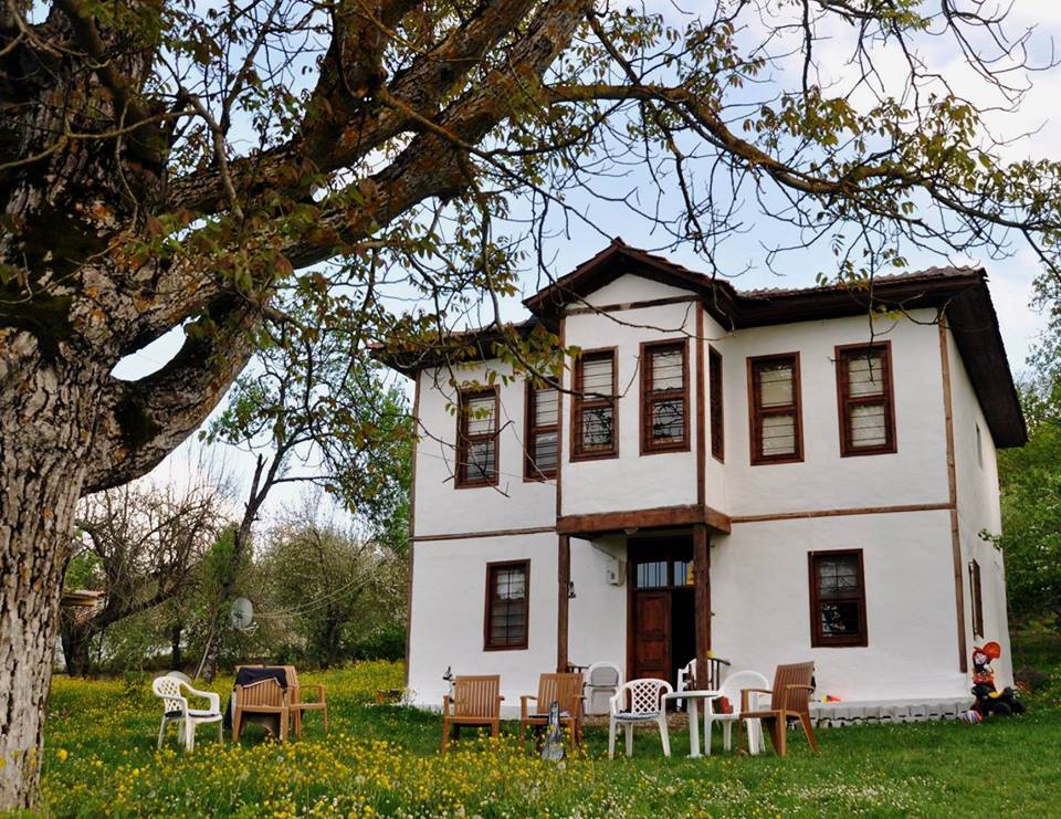 Kavak Bükcegiz Köyü Resimleri 3