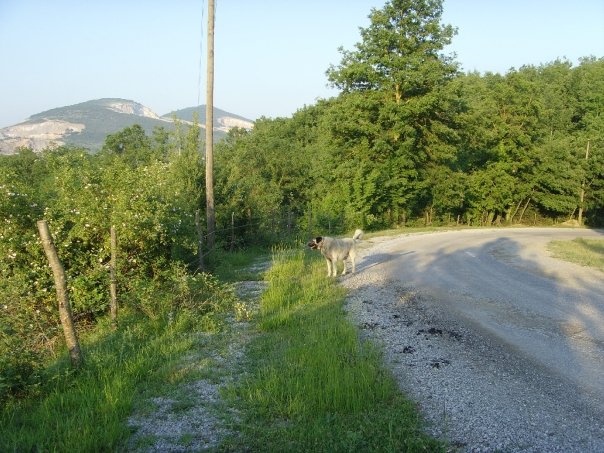 Kavak Bükcegiz Köyü Resimleri 5