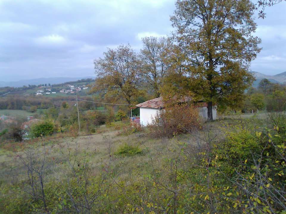 Kavak Bükcegiz Köyü Resimleri 8