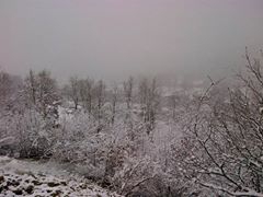 Kavak Büyükçukur Köyü Resimleri 2