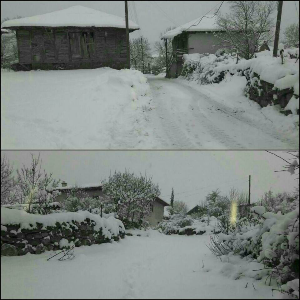 Kavak Celallı Köyü Resimleri 3