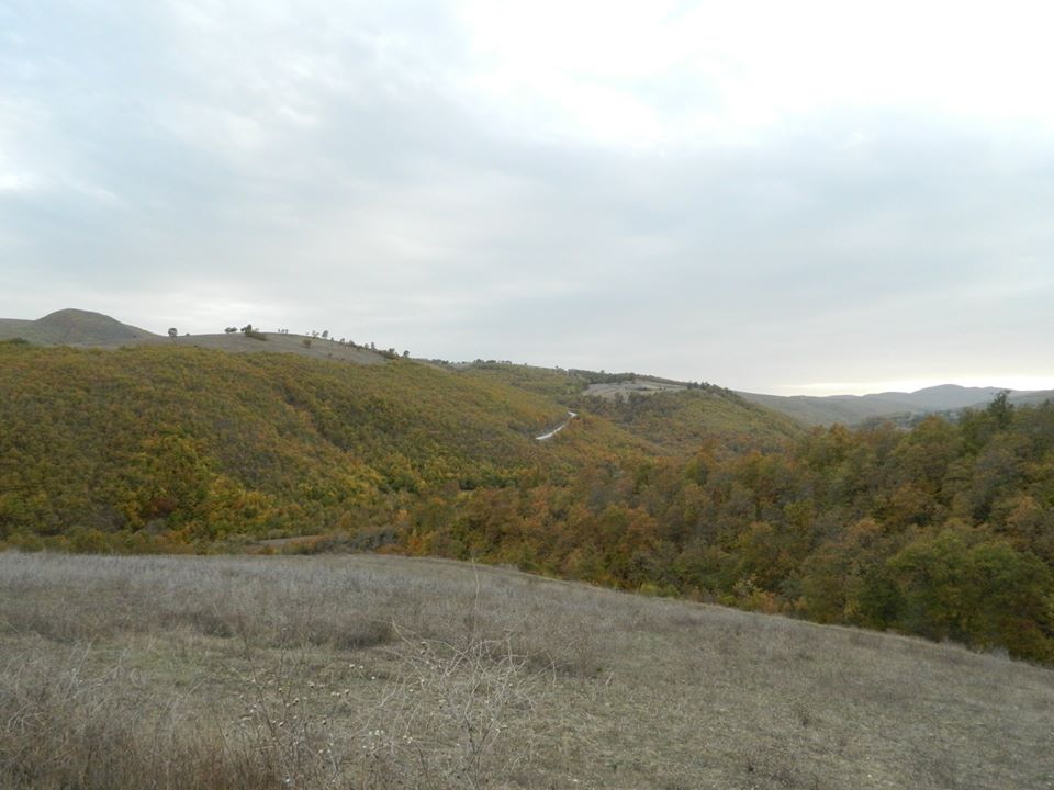 Kavak Celallı Köyü Resimleri 7