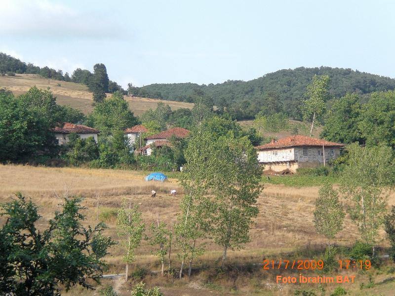 Kavak Celallı Köyü Resimleri 8