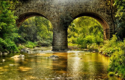 Kavak Çakallı Köyü Resimleri 10