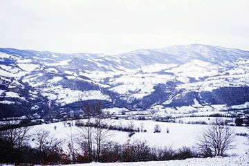 Kavak Çakallı Köyü Resimleri 7