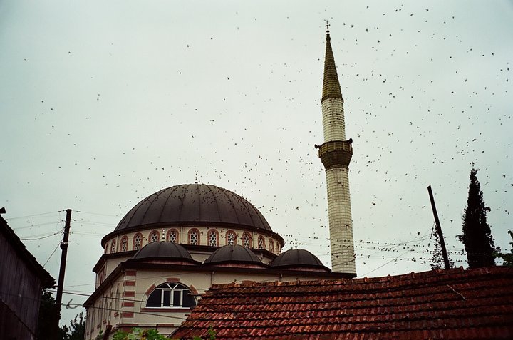 Hendek Kargalıyeniköy Köyü Resimleri 2