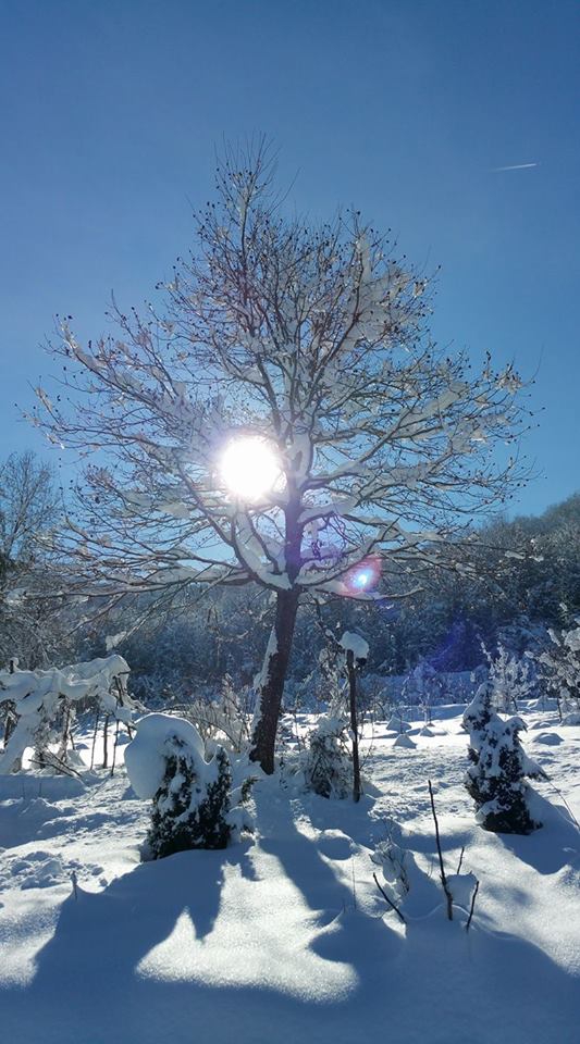 Kavak Çarıklıbaşı Köyü Resimleri 10