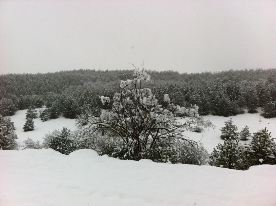 Kavak Çataltepe Köyü Resimleri 6