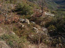 Kavak Çataltepe Köyü Resimleri 7