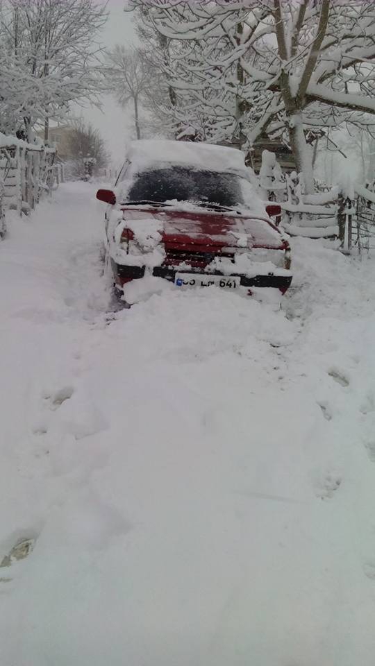 Kavak Çiçekyazı Köyü Resimleri 8