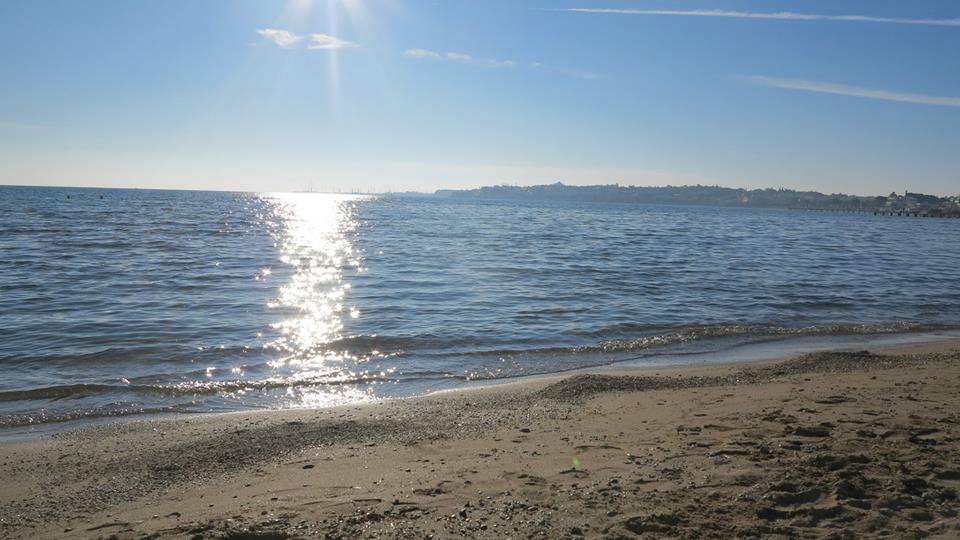 Kavak Çiğdem Köyü Resimleri 4