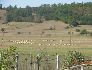 Kavak Çivril Köyü Resimleri 3