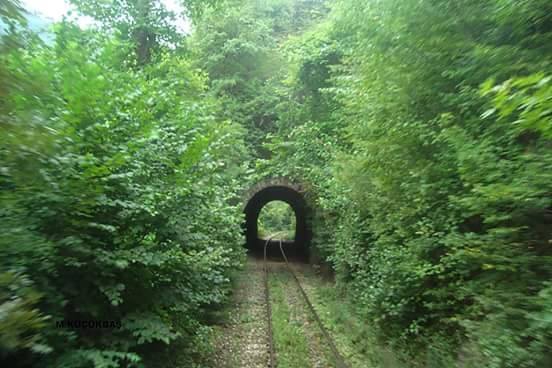 Kavak Çukurbük Köyü Resimleri 2
