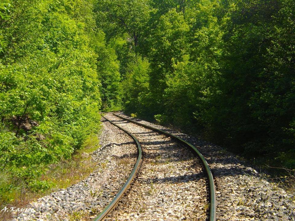 Kavak Çukurbük Köyü Resimleri 6