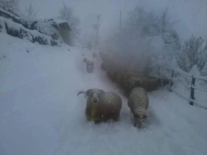 Kavak Değirmencili Köyü Resimleri 4