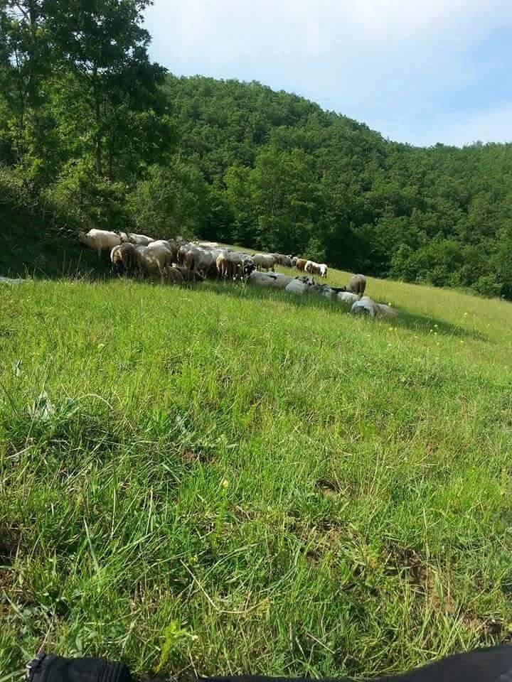 Kavak Değirmencili Köyü Resimleri 5