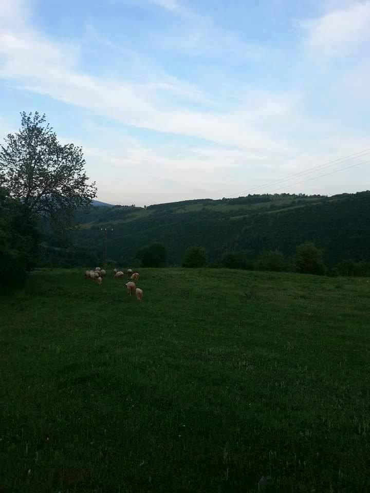 Kavak Değirmencili Köyü Resimleri 6