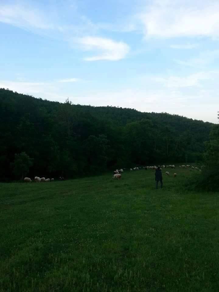 Kavak Değirmencili Köyü Resimleri 7