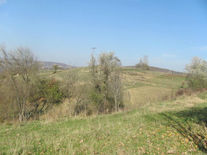 Kavak Demirci Köyü Resimleri 2