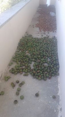 Kavak Demirci Köyü Resimleri 3