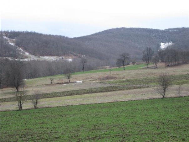 Kavak Dereköy Köyü Resimleri 10