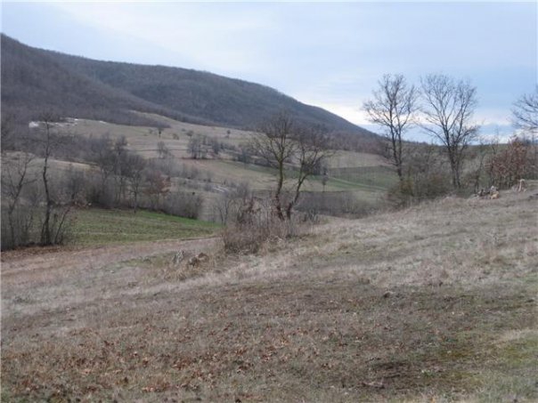 Kavak Dereköy Köyü Resimleri 5