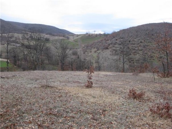 Kavak Dereköy Köyü Resimleri 6