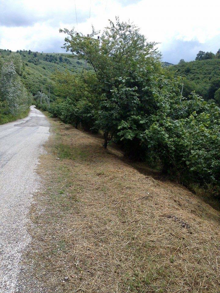 Hendek Kırktepe Köyü Resimleri 2