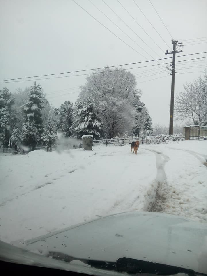 Hendek Kırktepe Köyü Resimleri 5