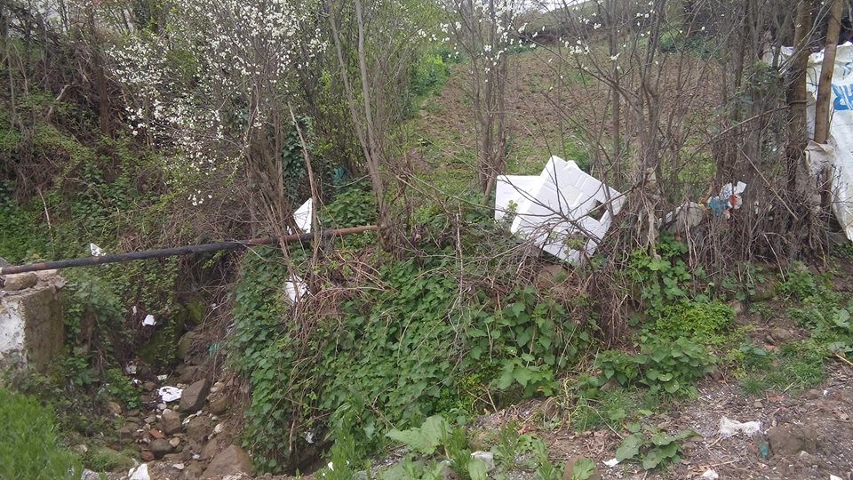 Kavak İdrisli Köyü Resimleri 5