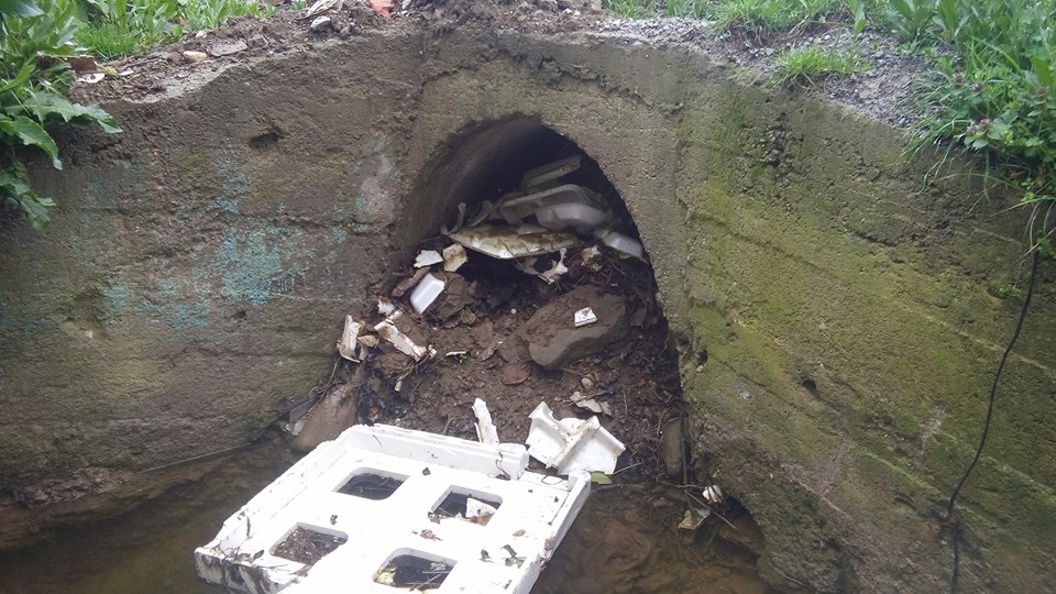 Kavak İdrisli Köyü Resimleri 6