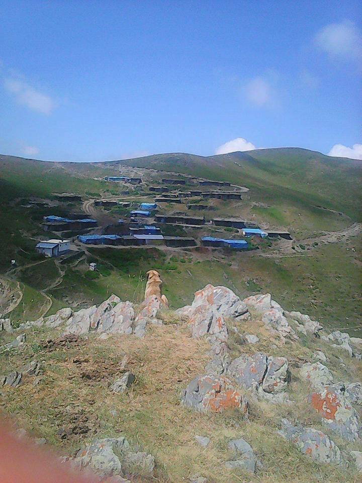 Almus Babaköy Köyü Resimleri 10