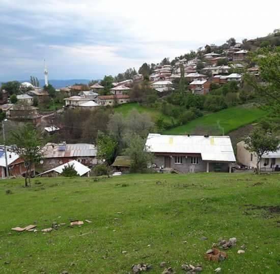 Almus Babaköy Köyü Resimleri 4