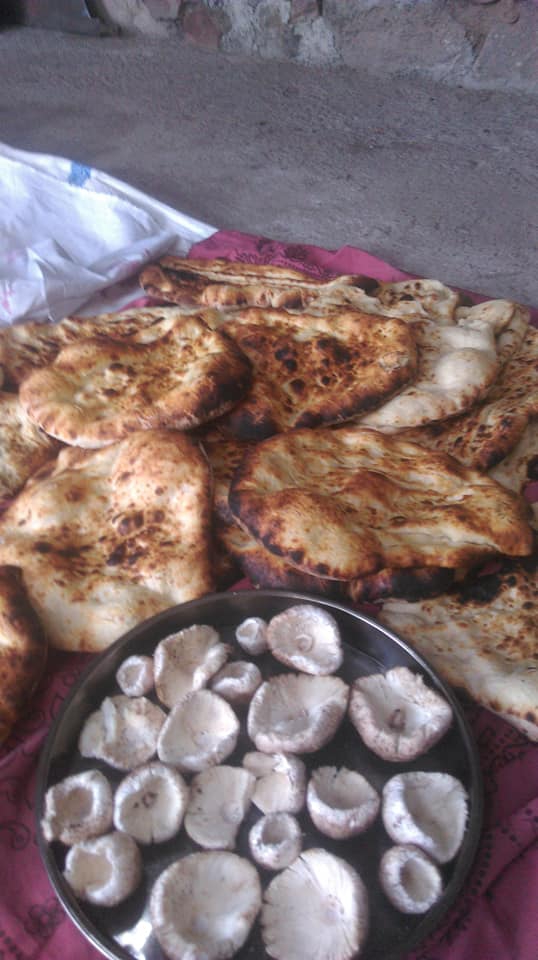 Almus Bakımlı Köyü Resimleri 2