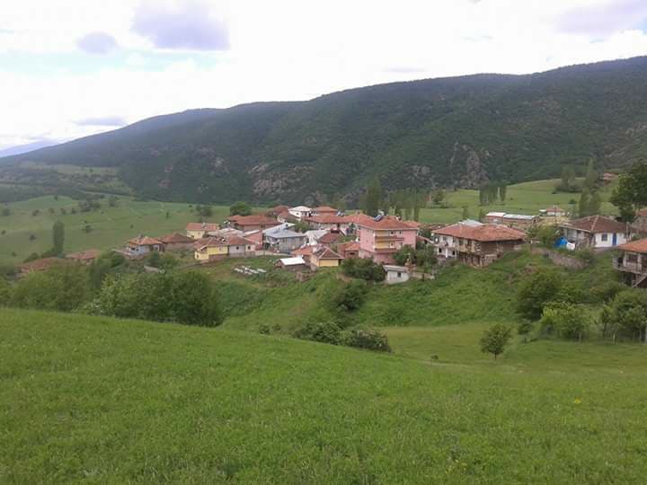 Almus Çamdalı Köyü Resimleri 2