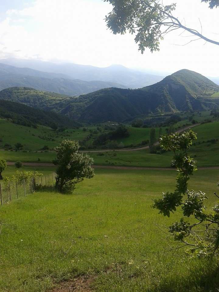 Almus Çamdalı Köyü Resimleri 6