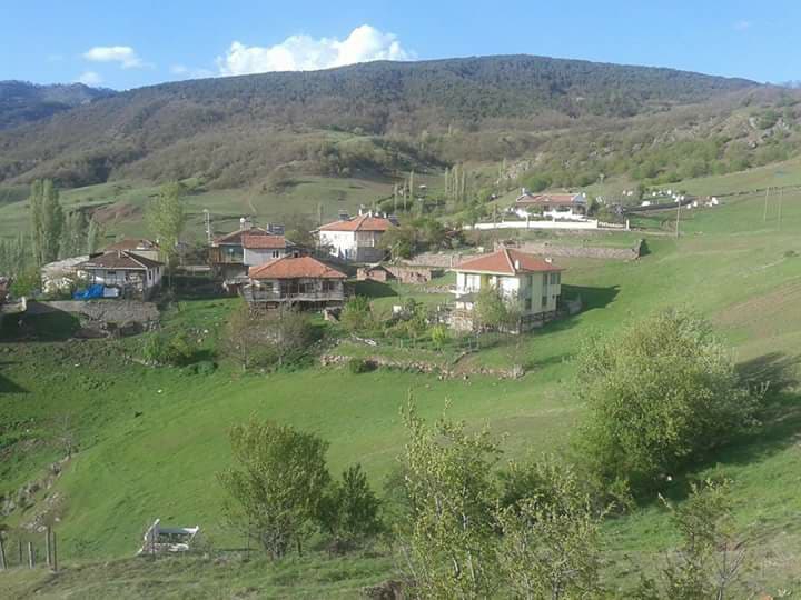 Almus Çamdalı Köyü Resimleri 7