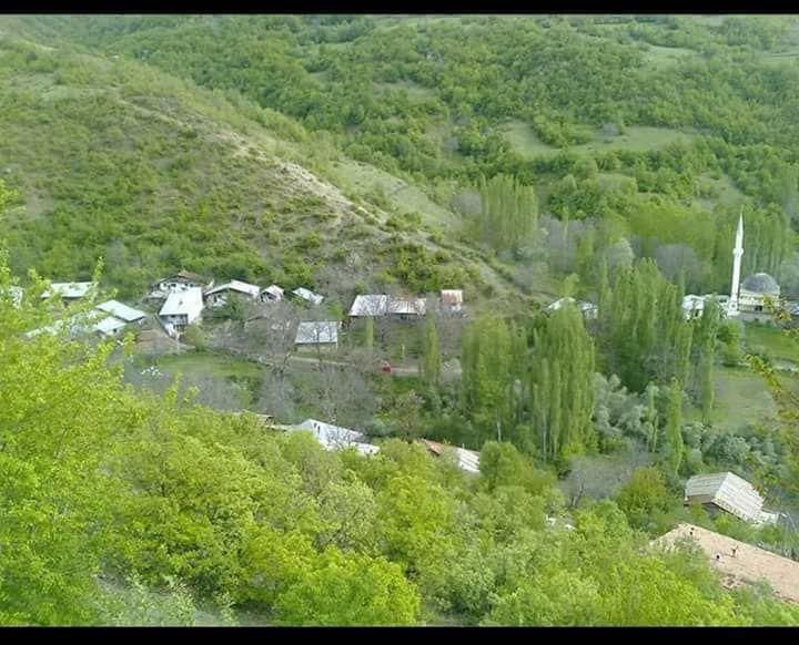 Almus Çaykaya Köyü Resimleri 4