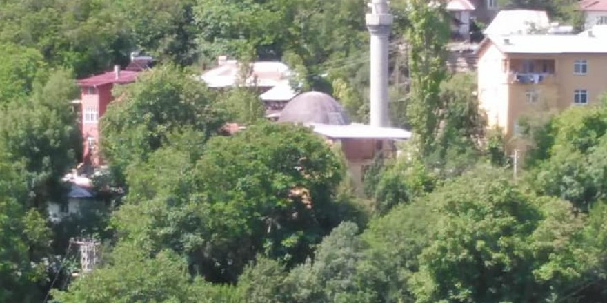 Almus Çaykaya Köyü Resimleri