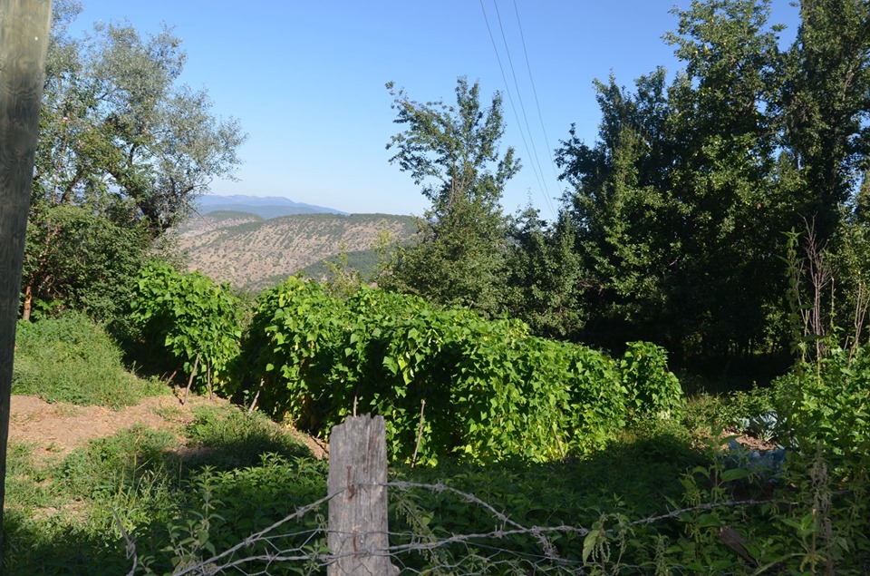 Almus Çaykıyı Köyü Resimleri 13