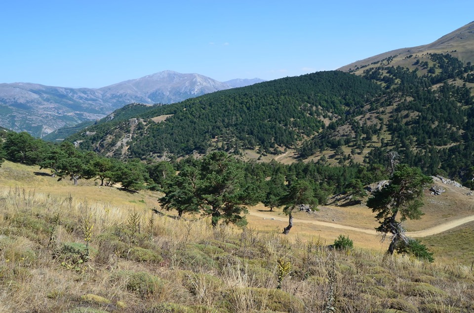 Almus Çaykıyı Köyü Resimleri 3